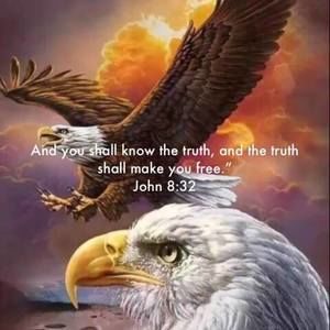 Meet your Posher, Alma